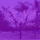 Светодиодное дерево "Сакура" LED-CBL-3.6-2688-V
