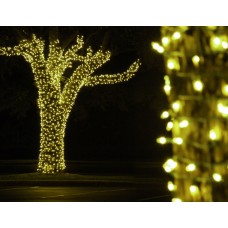 Клип-лайт светодиодный LED-LP-100M-12V-Y желтый, 100 метров, без трансформатора