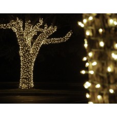 Клип-лайт светодиодный LED-LP-100M-12V-WW теплый белый, 100 метров, без трансформатора